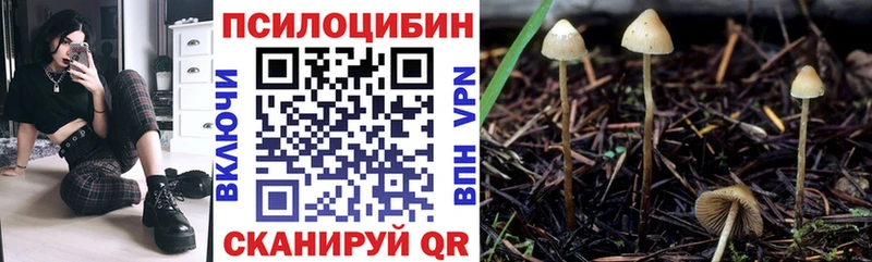 купить цена MEGA как зайти Галлюциногенные грибы MAGIC MUSHROOMS Черноголовка